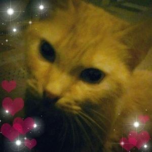 Meet your Posher, Denisha